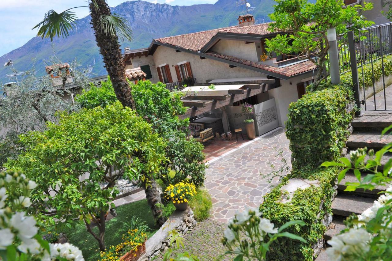Bella Limone