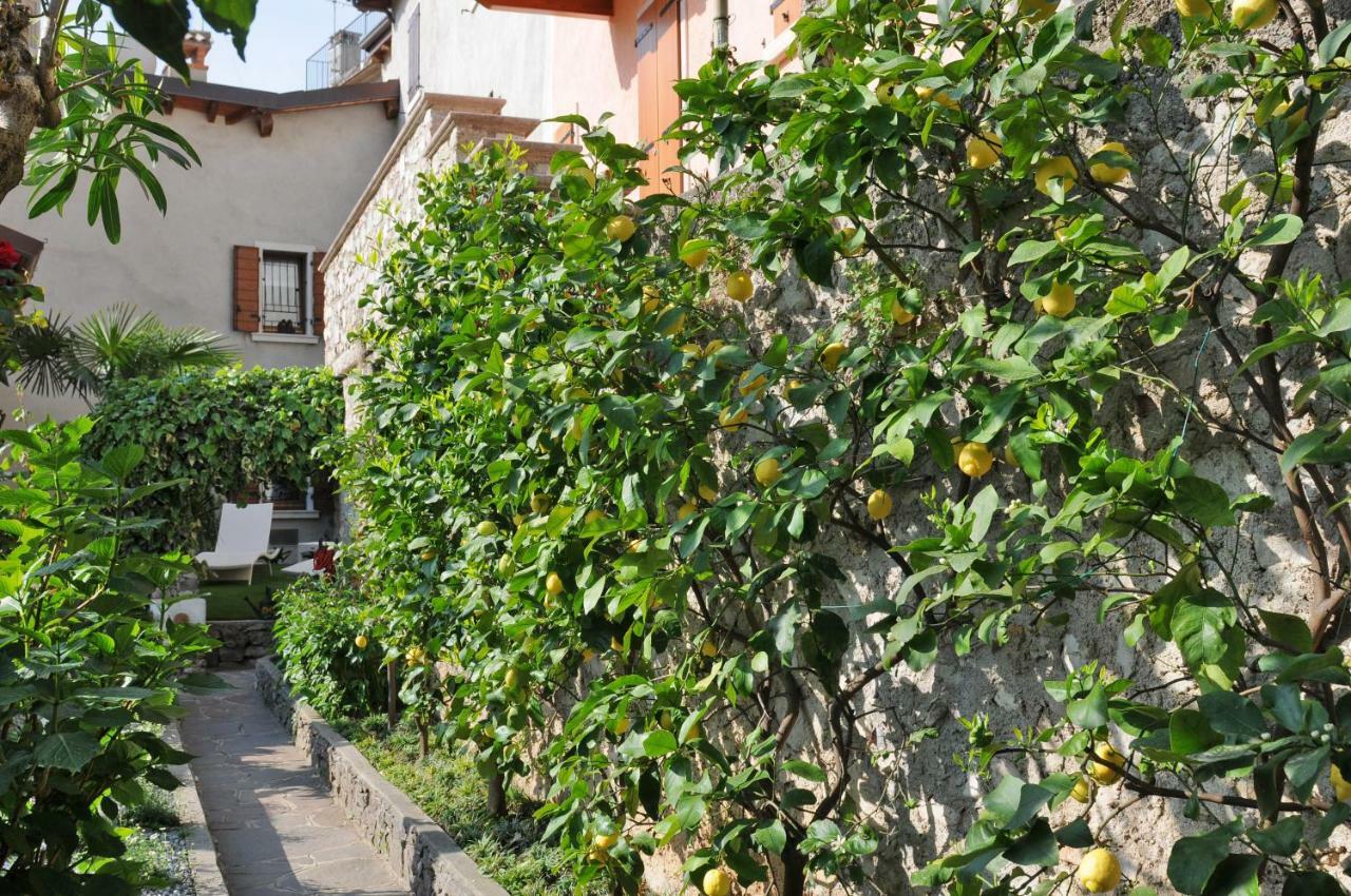 Bella Limone